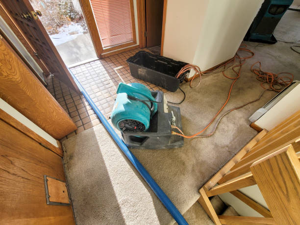 Best Commercial Water Damage Restoration in East Flat Rock, NC