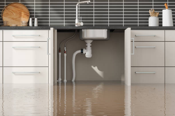 East Flat Rock, NC Water damage restoration Company